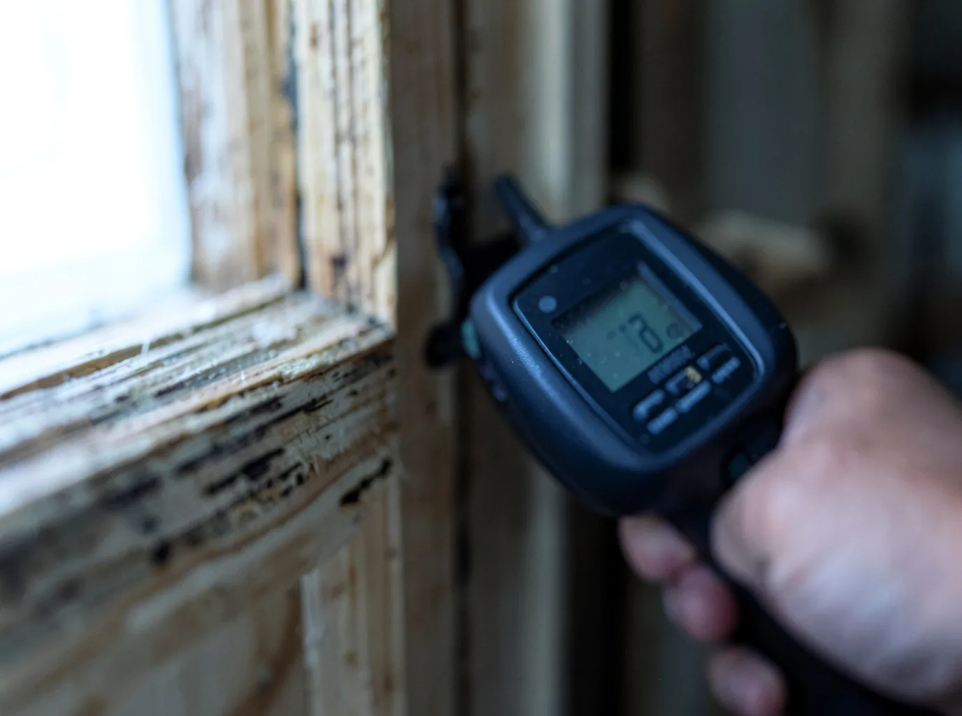 Moisture Inspection And Documentation in Colmar, PA